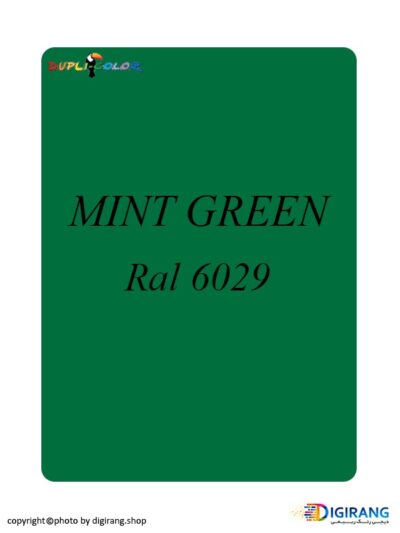 اسپری رنگ دوپلی کالر Mint Green سبزنعنایی کد 6029